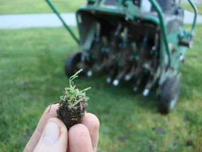 A fresh core aeration soil plug held in hand above the lawn