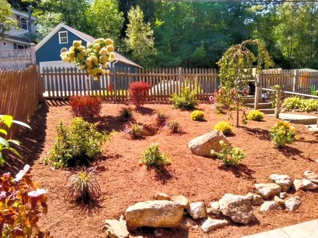New planting bed with boulders, mulch and young shrubs